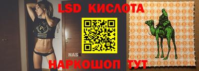 гашик Краснодар