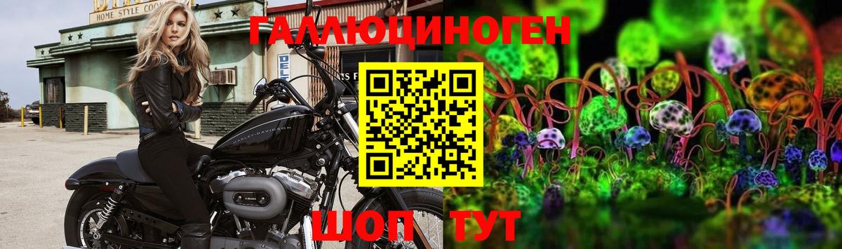 Крымск  Галлюциногенные грибы MAGIC MUSHROOMS  где найти   Вход с VPN 