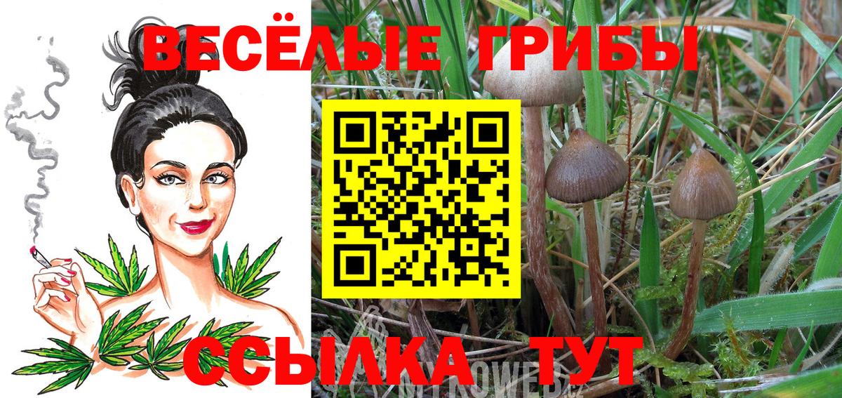 Кокаин  APVP СОЛЬ кристаллы  Крымск  Вход с VPN  ГАШ  МАРИХУАНА  Меф МЯУ МЯУ  
